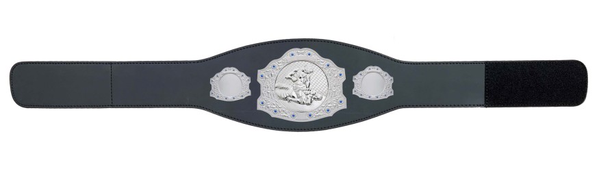 SILVER CHAMPIONSHIP BELT - XXLMIDI/G/MMAS - AVAILABLE IN 4 LEATHER COLOURS SILVER CHAMPIONSHIP BELT - XXLMIDI/G/MMAS - AVAILABLE IN 4 LEATHER COLOURS